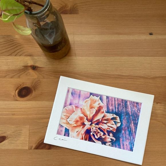 Artisan Other - New Original Signed Photography Color Hibiscus